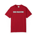 Adult T-shirt